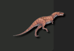 10 Dinosaurus Terkecil Di Dunia [ www.BlogApaAja.com ]